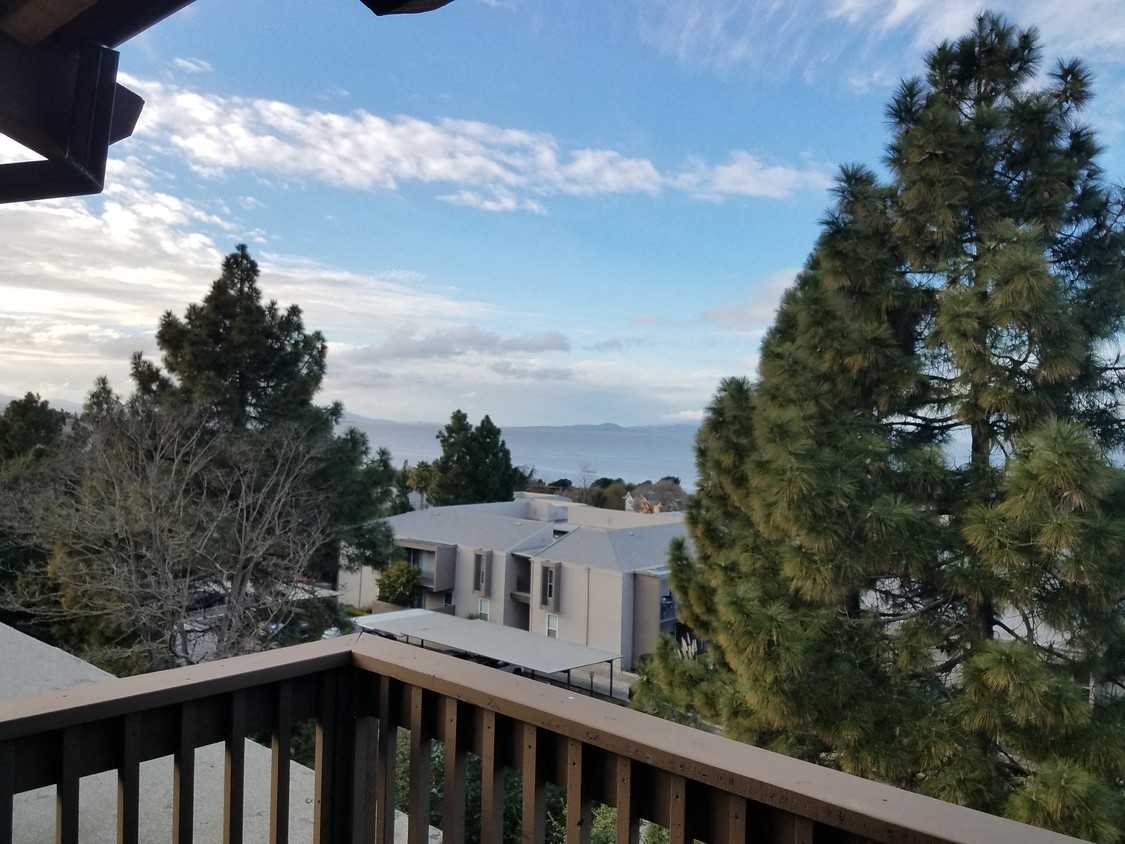 The Villas at Harbor Pointe photo 4